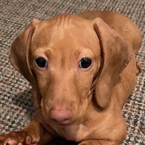 Meet your Posher, Beth